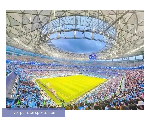 2007年足球直播全景回顾经典赛事与时代记忆再现辉煌瞬间深度解析